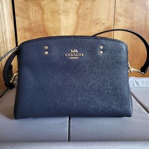 Coach mini lily carryall